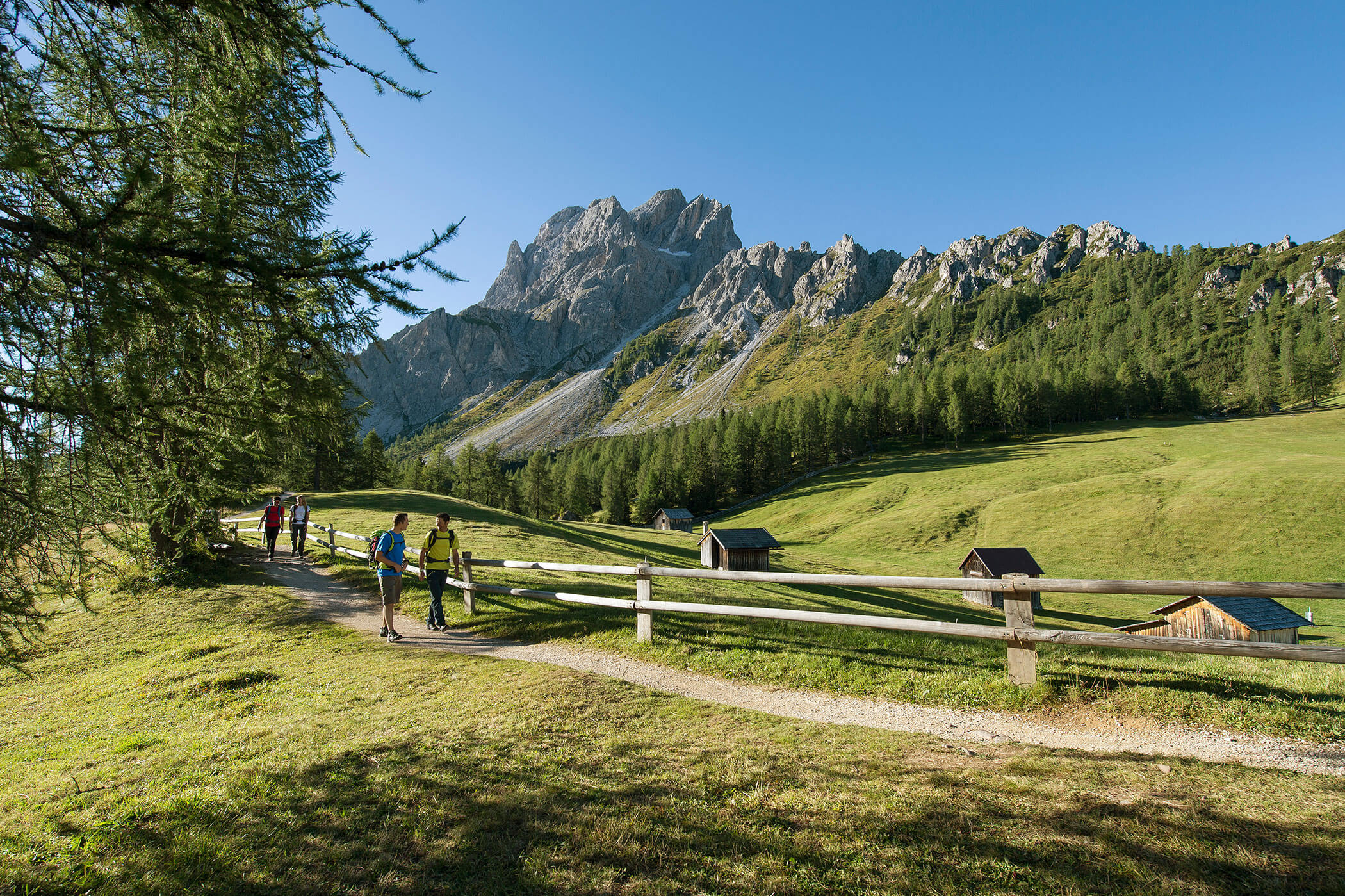 Four hikers in the South Tyrolean Dolomites - Hirschenhof