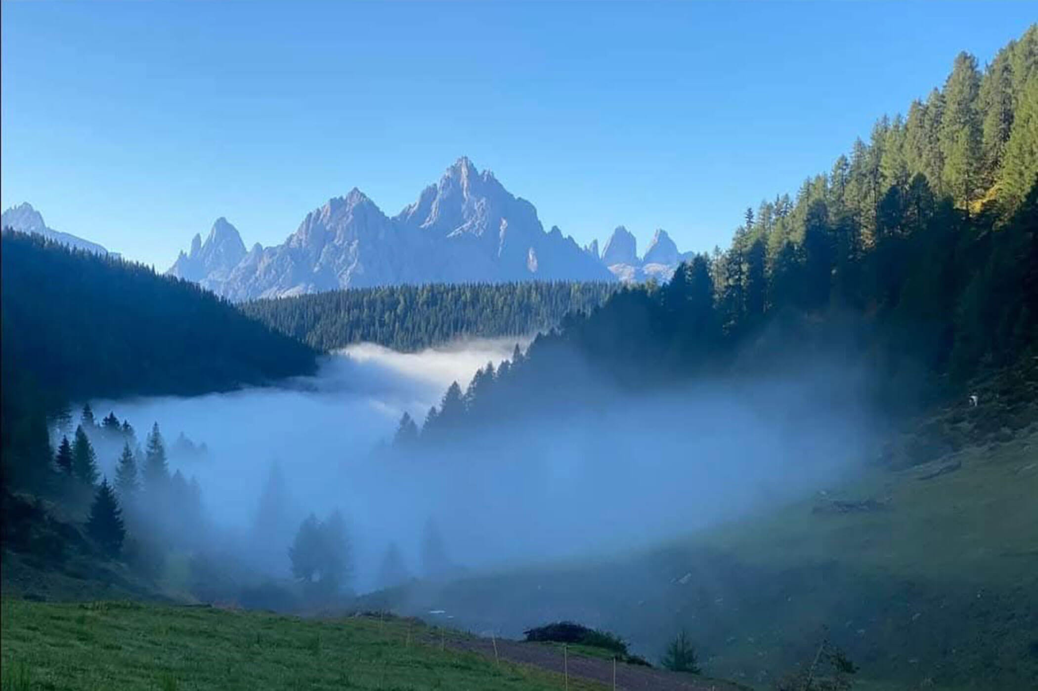 The South Tyrolean mountains in the background and the morning mist in the foreground - Hirschenhof
